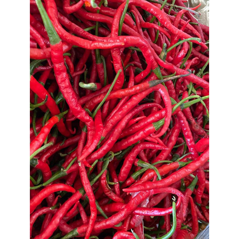 

Cabai Merah Medan 1kg