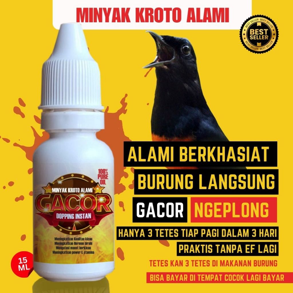 minyak kroto vitamin pengacor murai kenari pleci anis merah dll 3 hari gacor
