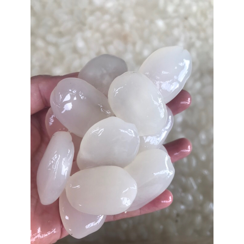 

Kolang kaling segar kemasan 1kg super murah pilihan ukuran jumbo dan tanpa pengawet