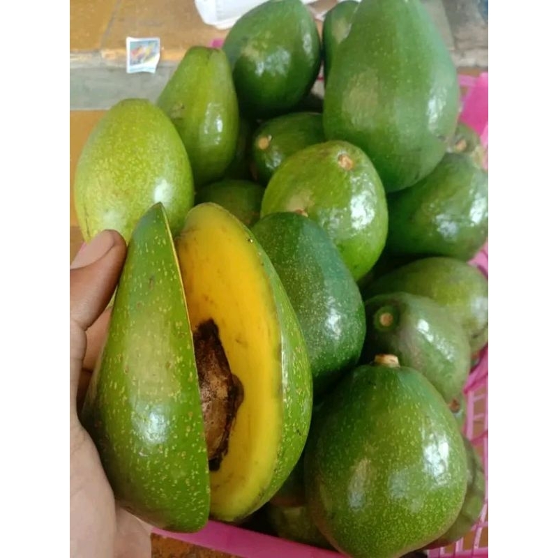 

BUAH ALPUKAT MENTEGA SEGAR FRES PERKG ISI 3/4