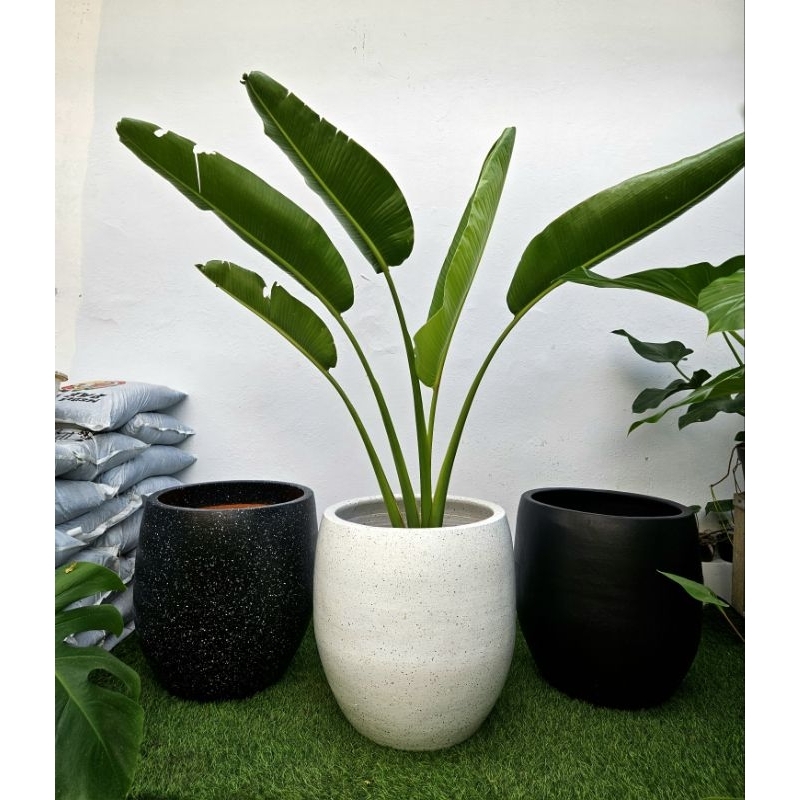 Pot Tanah Liat Gentong D50T50 Jumbo / Pot Terakota / Pot Tanaman / Pot Gerabah