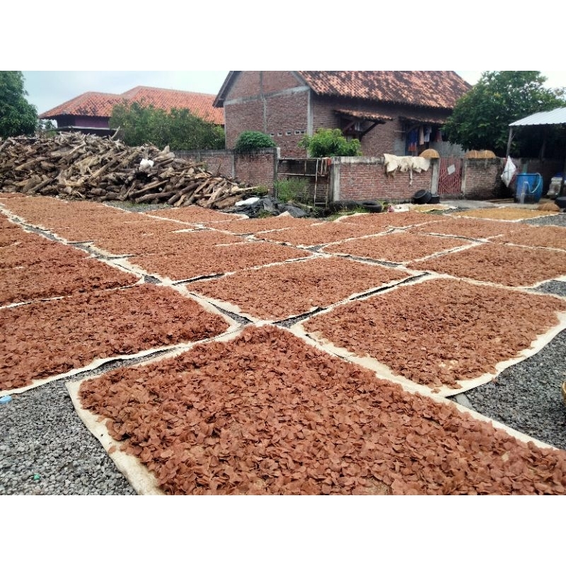 

Nycyta Home Kerupuk Petis Udang Cap Abadi (Paket Isi 5)