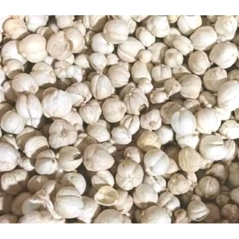 

kapulaga kering .250 gr
