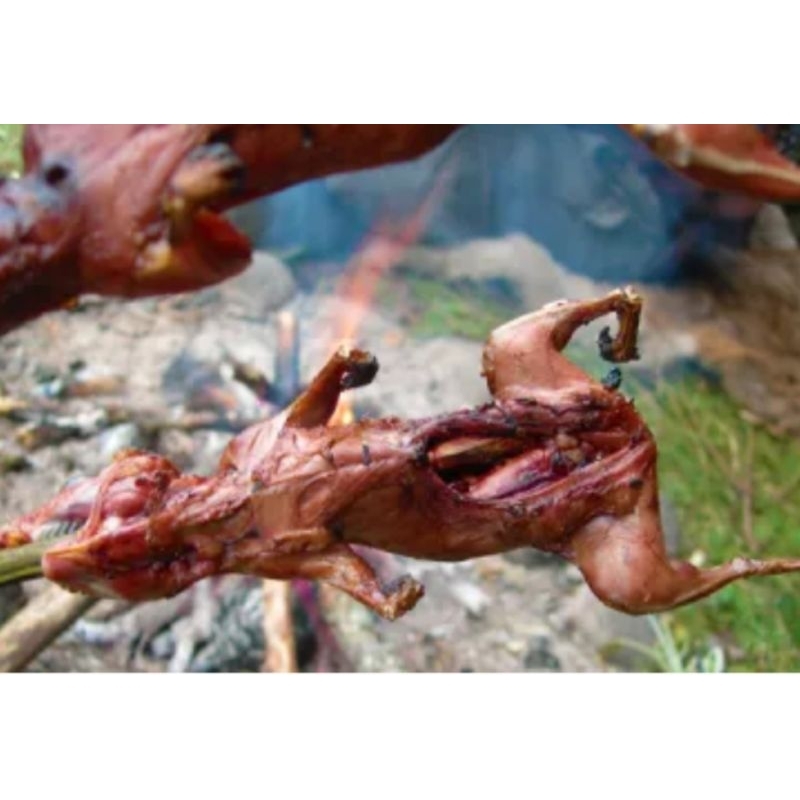 

daging tupai bakar 2 ekor