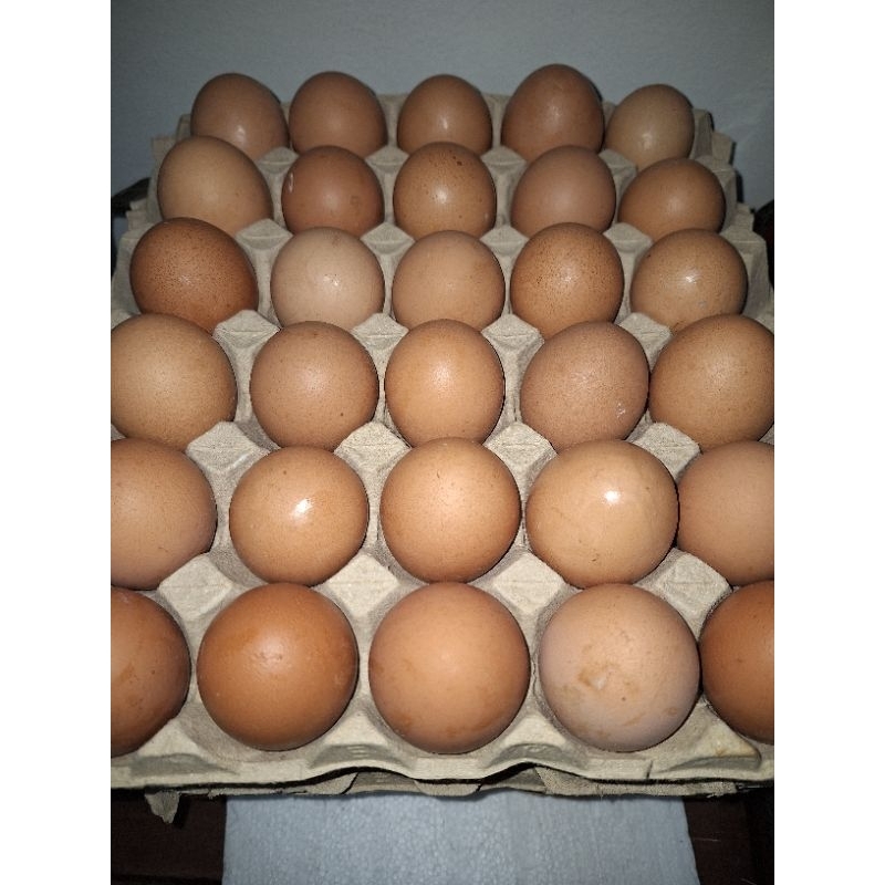 telur ayam negri 1 tray
