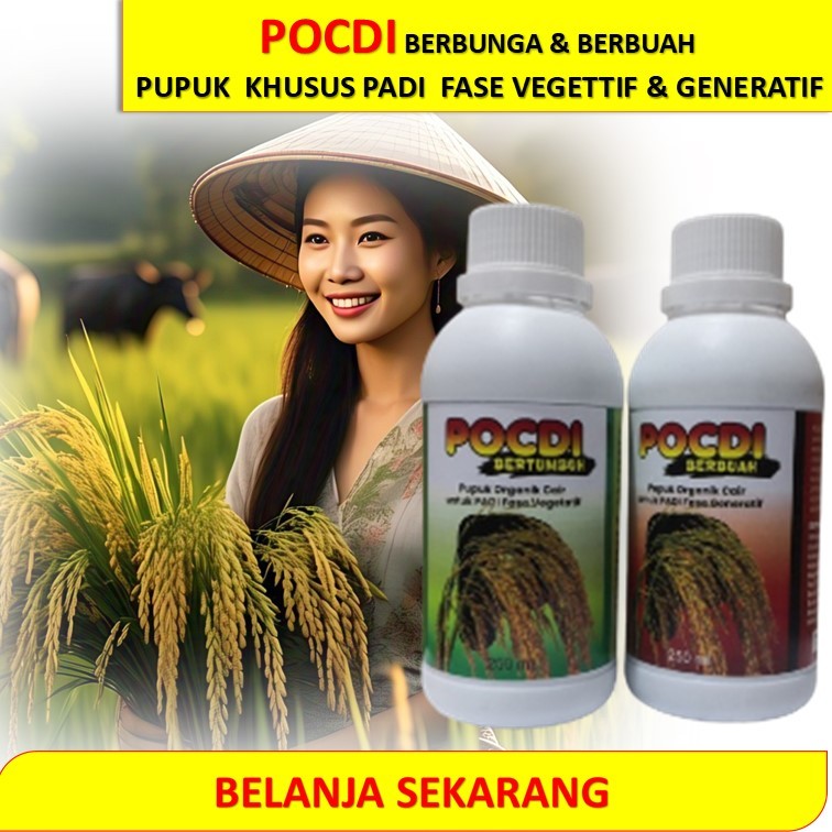 Pupuk Padi vegetatif dan generatif / POC Padi pertumbuhan awal / Pupuk cair organik daun padi / POC 