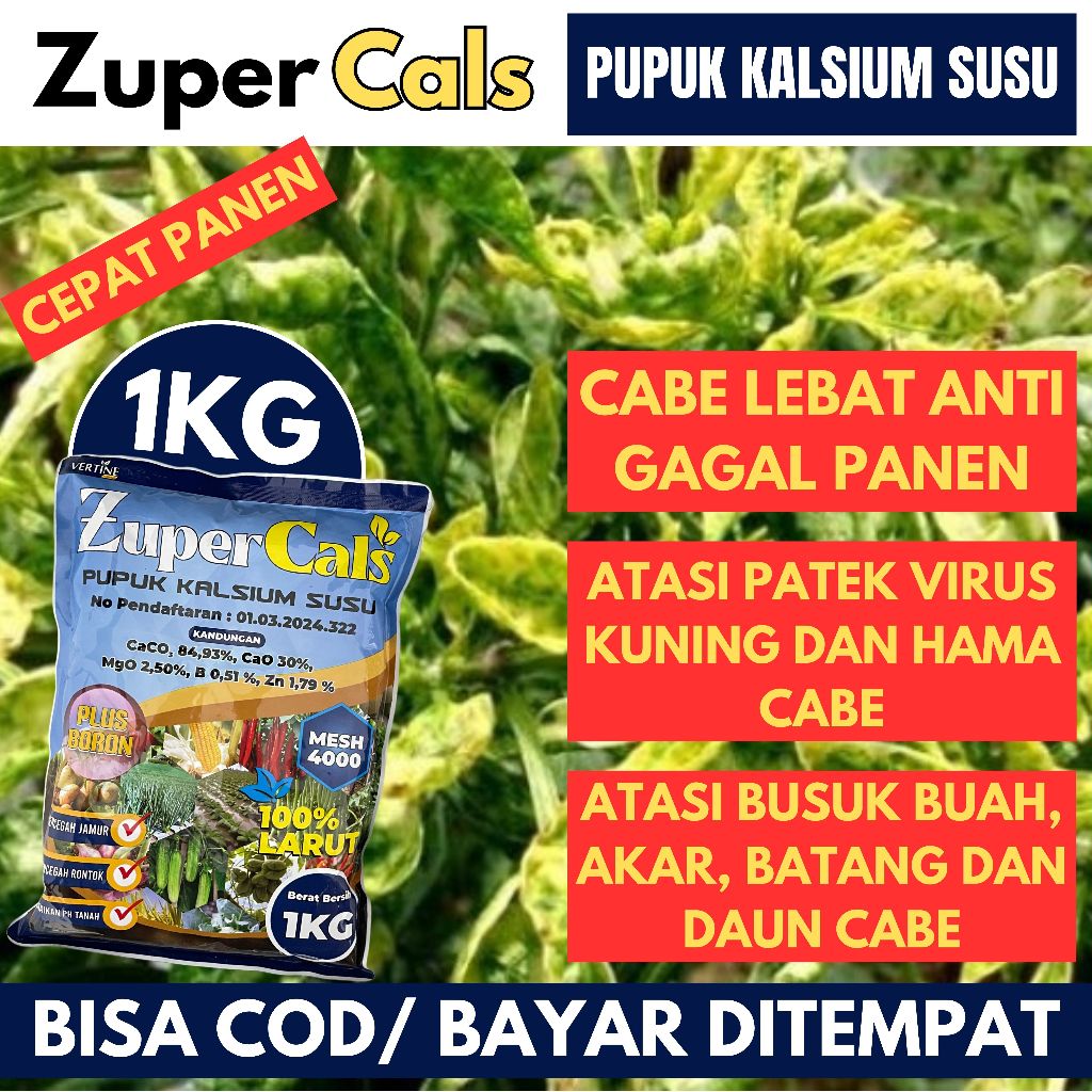 PROMO Obat Semprot Daun Cabe Keriting ZUPERCALS 1kg Pupuk Kalsium Hama Anti Virus Bulai Cabai Daun K