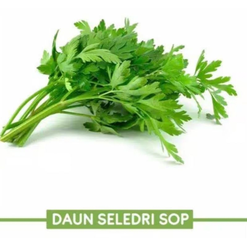 

daun seledei/sop