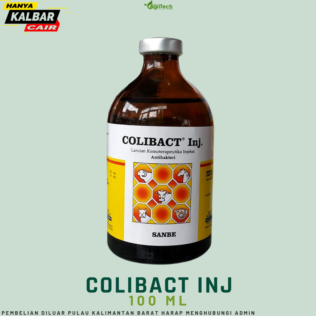 COLIBACT INJEKSI 50ML INJ 100ML SANBE Obat Antibiotik Hewan Mencret Diare Sapi Kambing Domba