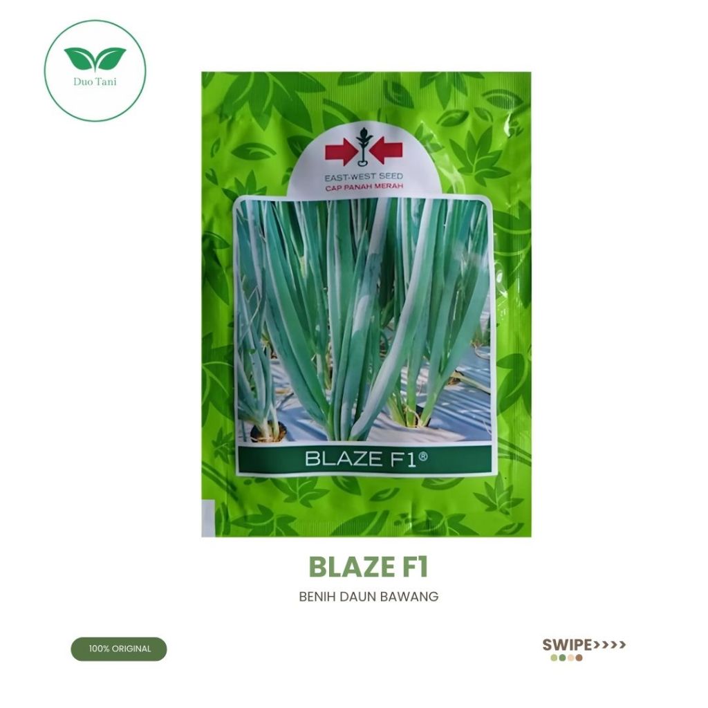 Benih Bawang Daun Blaze Cap Panah Merah 10 Gr