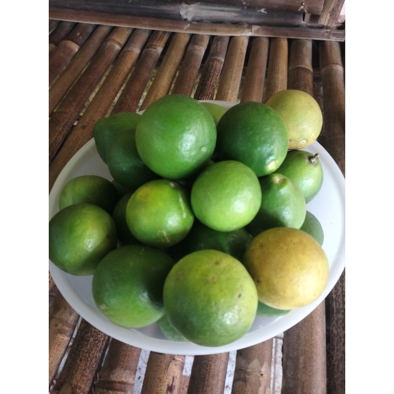 

lemon3kg
