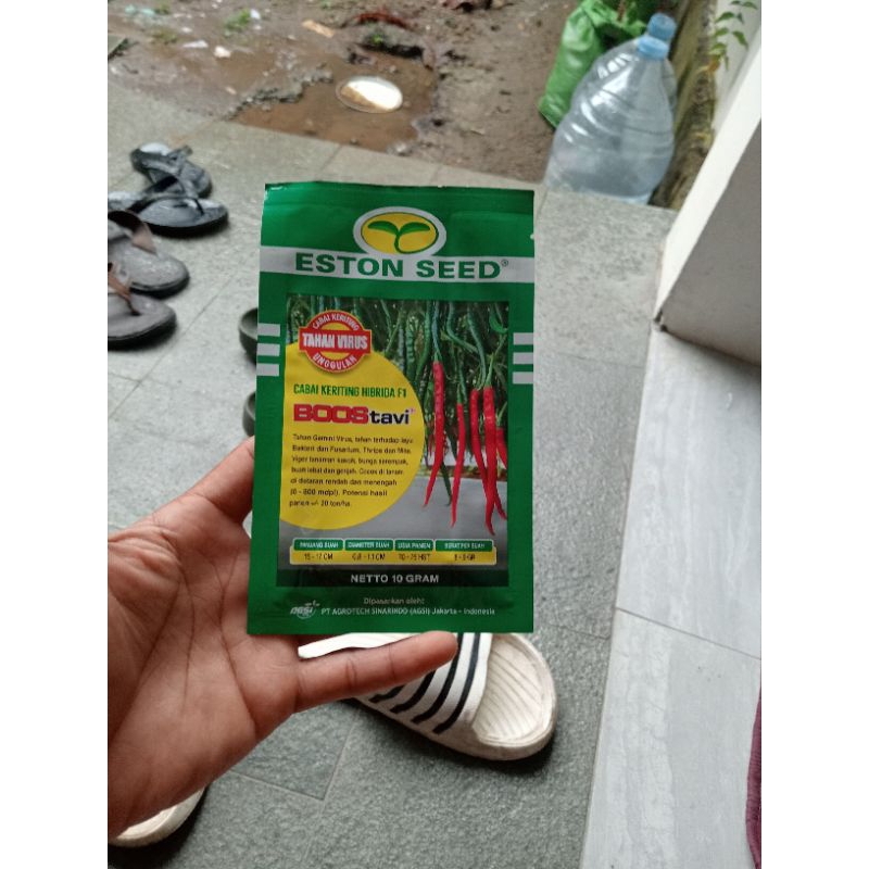 BOOS TAVI F1 cabai keriting hibrida tahan virus