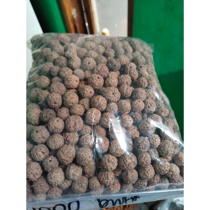 Jenitri ORI sudah berlobang isi 1000 butir ukuran campur bahan kerajinan