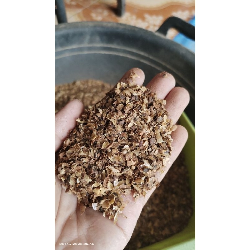 Kulit ari kopi (cascara)