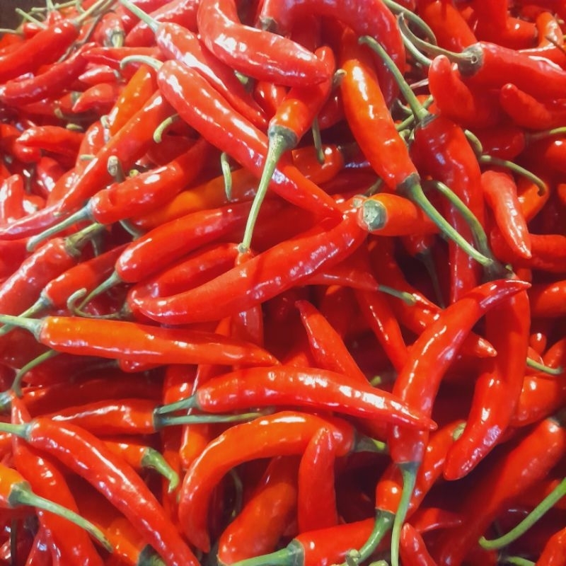 

tw mrrah merah berat 500gram