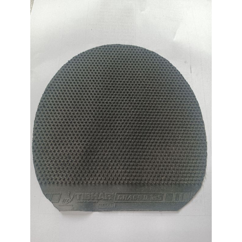 Karet Bintik Panjang - Tibhar Grass D.Tecs