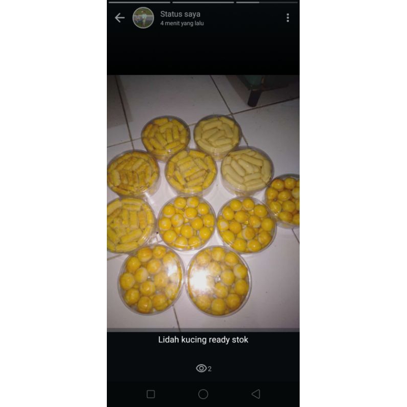 

nastar , kastangel,putri salju,kacang coklat,lidah kucing dll