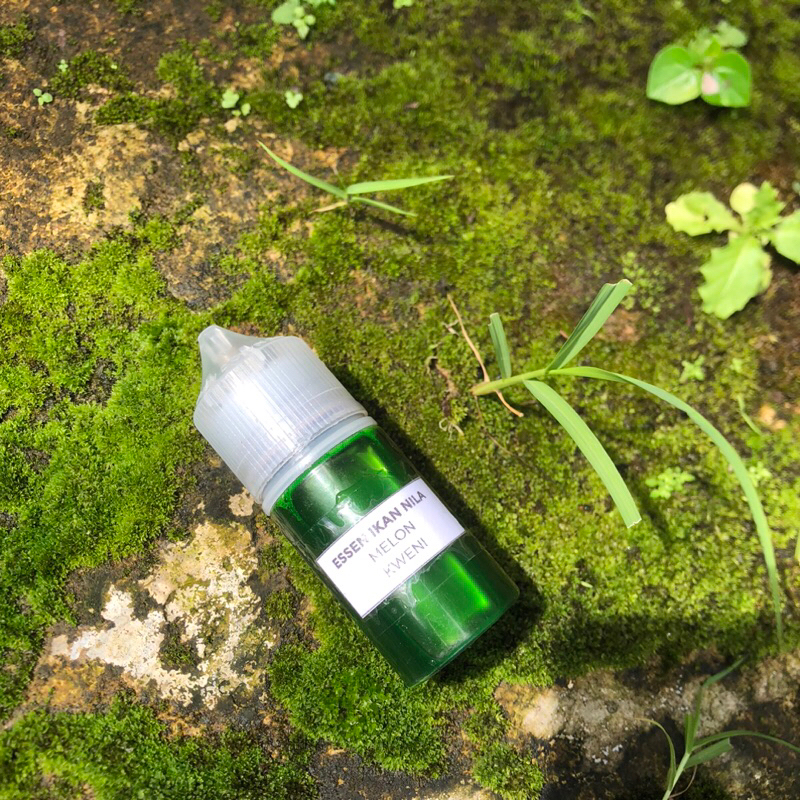 Essen ikan nila gacor lumut busa essen target induk