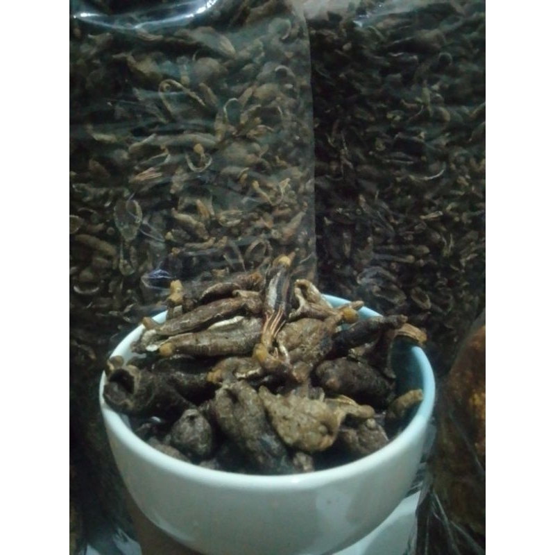 

*Oleh2 Khas Kenjeran* kerupuk teripang original