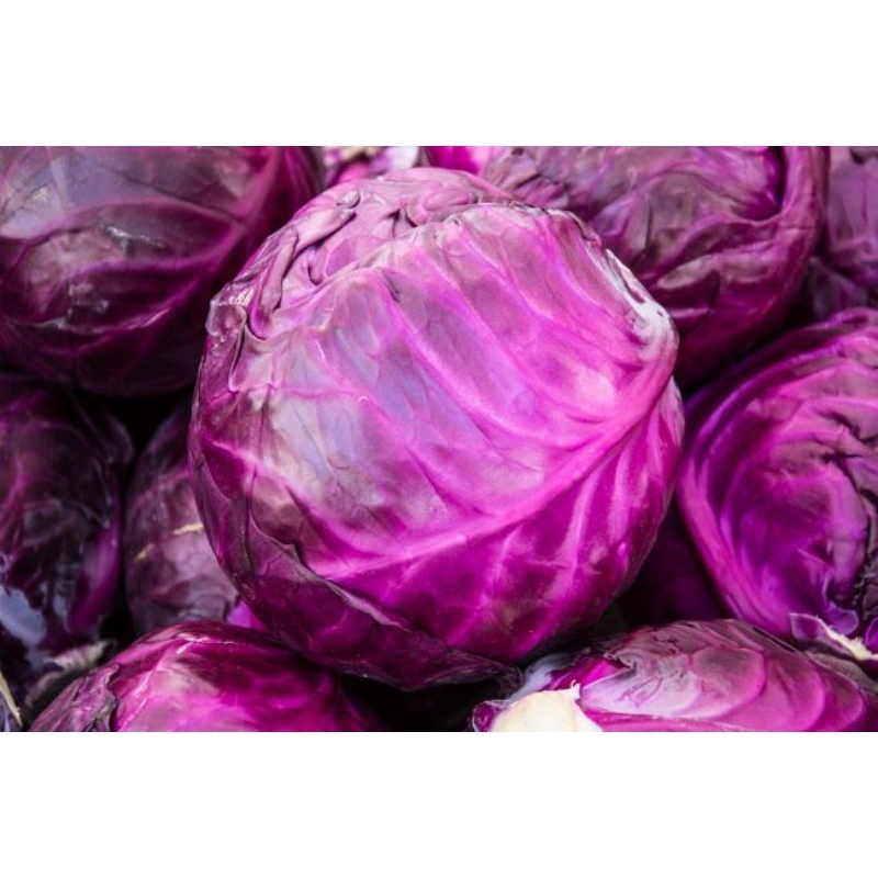 

KOL UNGU FRESH 500gr