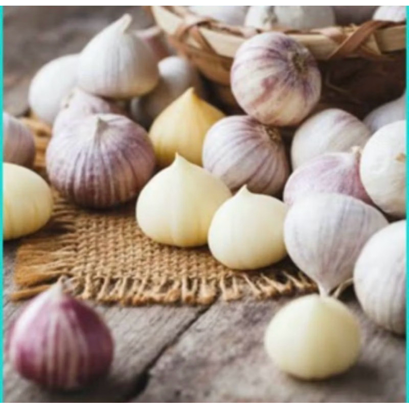 

Promo bawang putih tunggal sortiran masih layak konsumsi 1kg