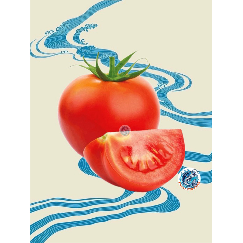 

TOMAT SAMBAL