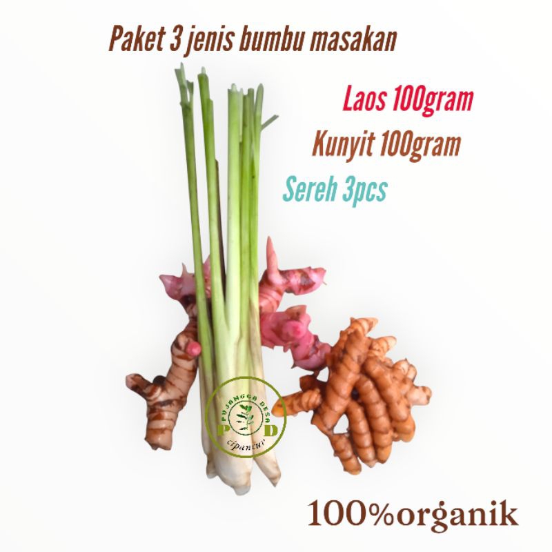 

paket 3 bumbu dapur segar organik sereh, lengkuas dan kunyit