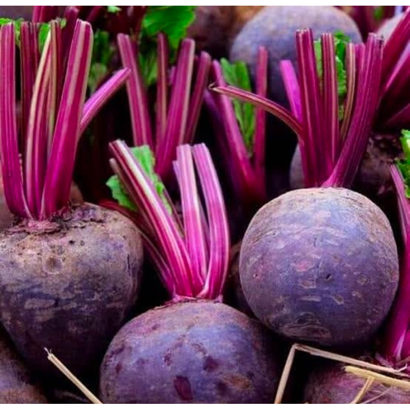 

BUAH BIT HERBAL ORGANIK REMPAH