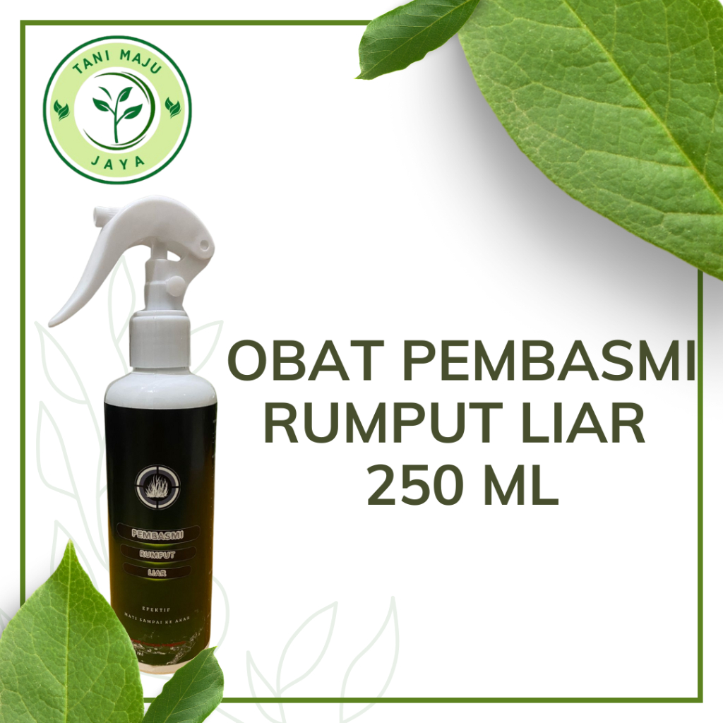 Obat Ampuh Pembasmi Rumput Liar Sampai akar Kemasan 250 ML