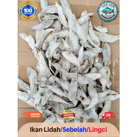 

Ikan Asin Ikan Lidah/Sebelah/Lingci Kecil Tipis Kerupuk Kualitas Super