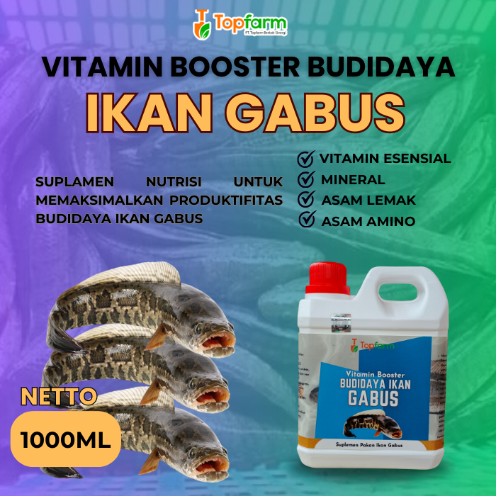 Vitamin Ternak Ikan Gabus 1LITER/ Vitamin Ikan Gabus/ Vitamin Ikan Gabus Cepat Besar/ Vitamin Pembes