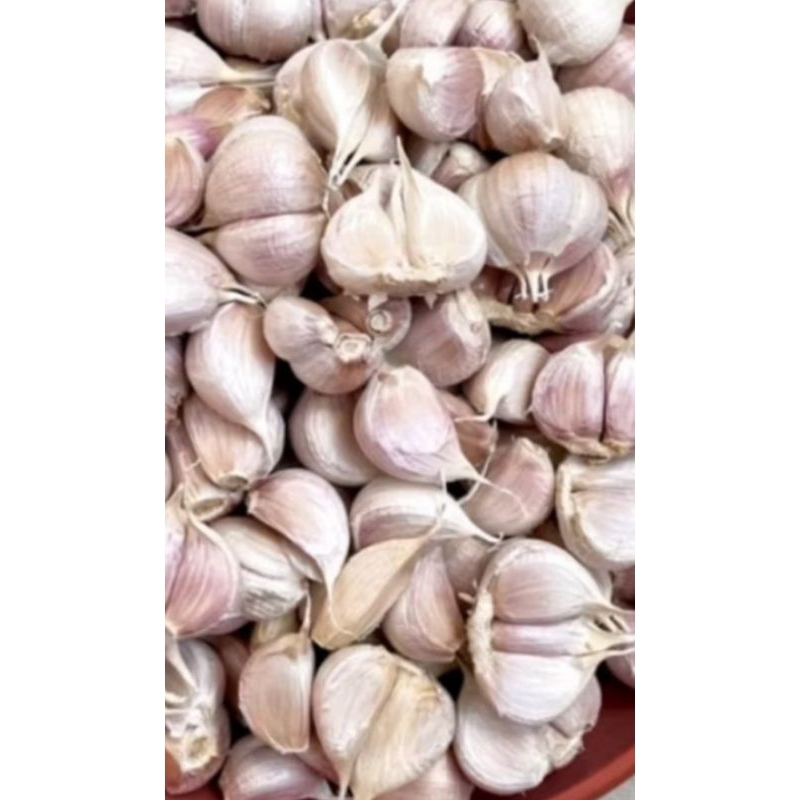 

BAWANG PUTIH KATING 250g 500g 1KG / JAMIN BAGUS