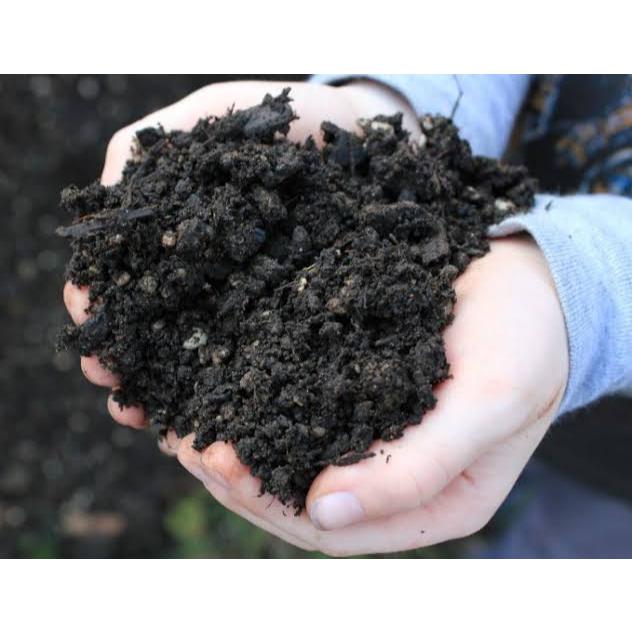 Pupuk kandang kambing murni 100% karungan