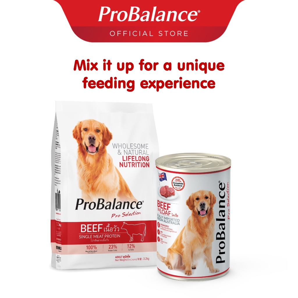 ProBalance Makanan Anjing Basah Rasa Beef 400gr