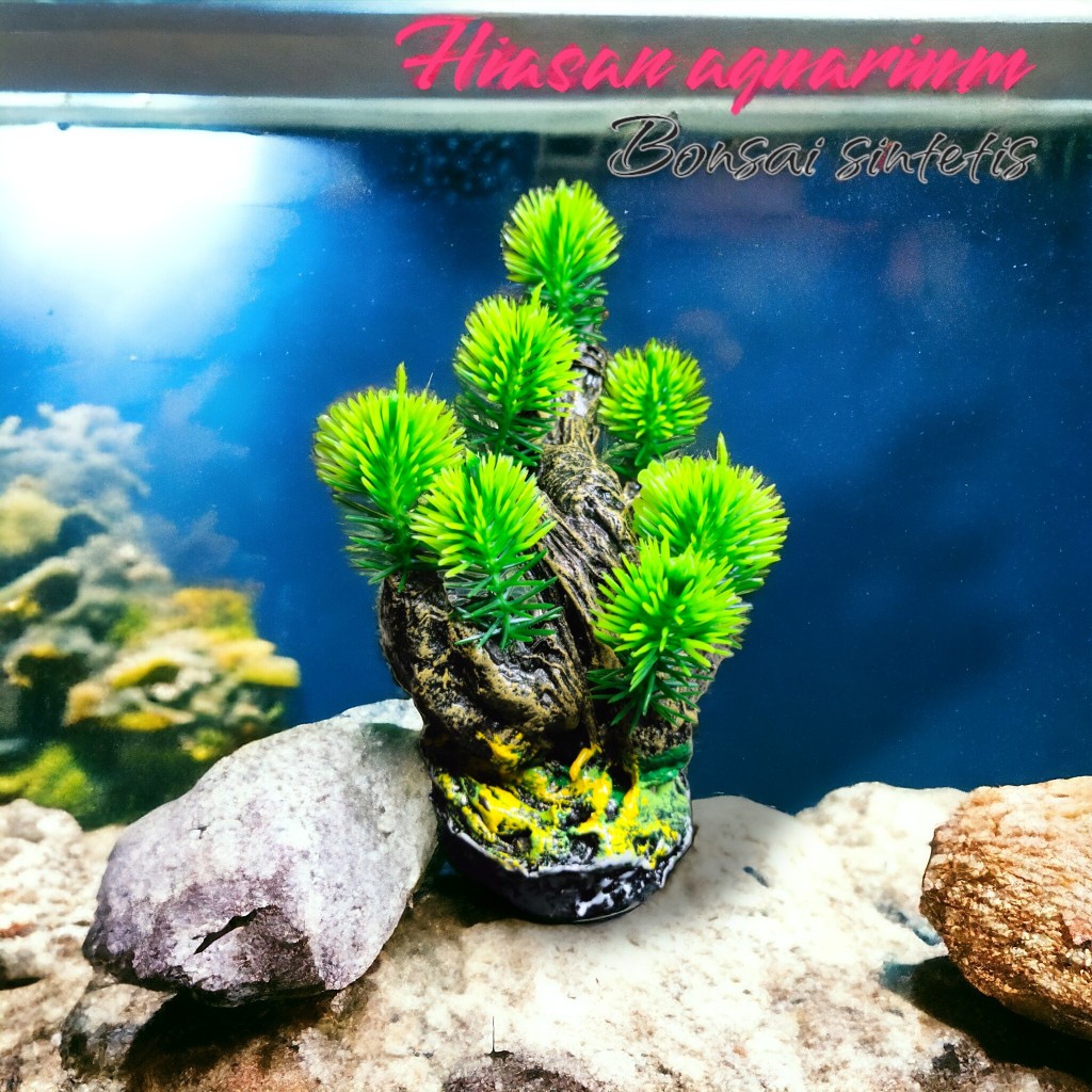 Hiasan Dekorasi Aquarium Aqua scape Bonsai 4 jari
