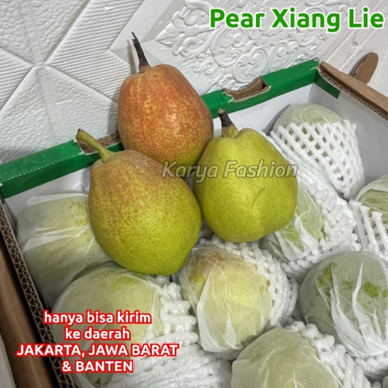 

Isi 900-1000gr Pear Xianglie Xiang Lie