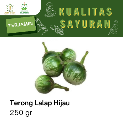 

TERONG LALAP HIJAU SEGAR PER 250 GRAM