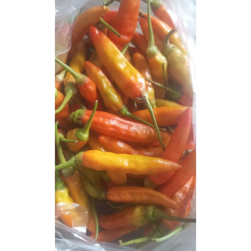 

cabe rawit buah pedas original