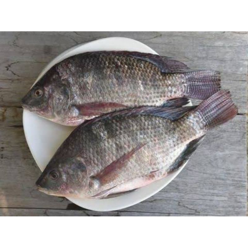 

Ikan mujair bumbu (timur)