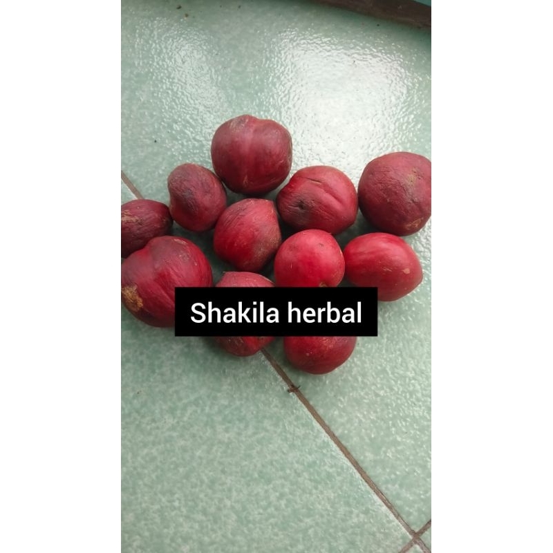 

buah mahkota dewa beragam manfaat bagi kesehatan