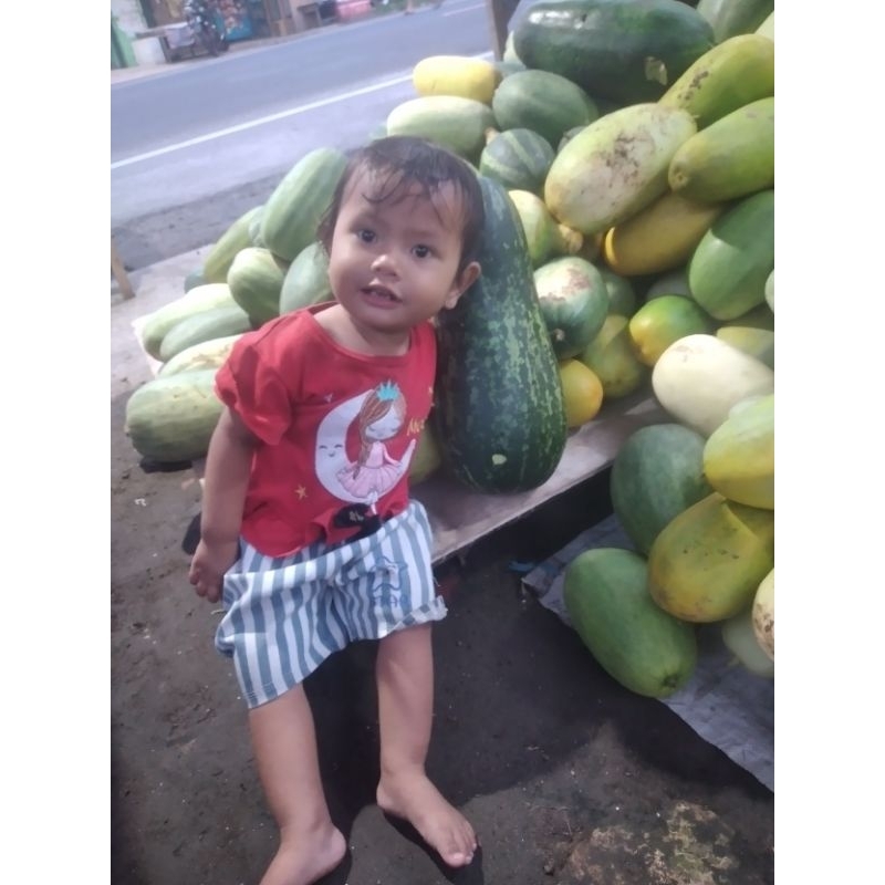 

Timun suri Paket keluarga [2,5kilo] utuh..!!