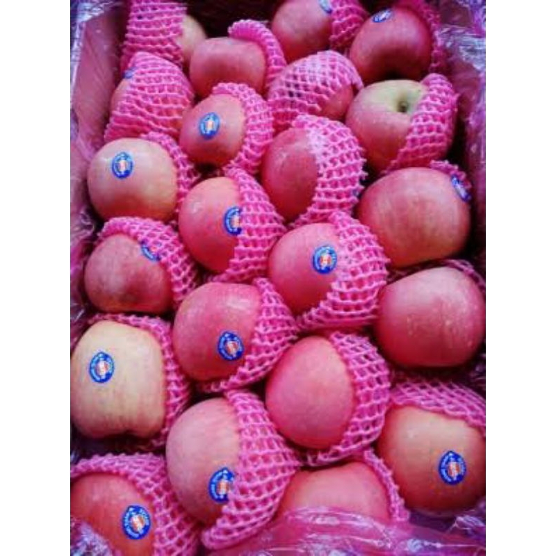 

Apel merah fuji 1kg/ buah apel merah fuji 1kg