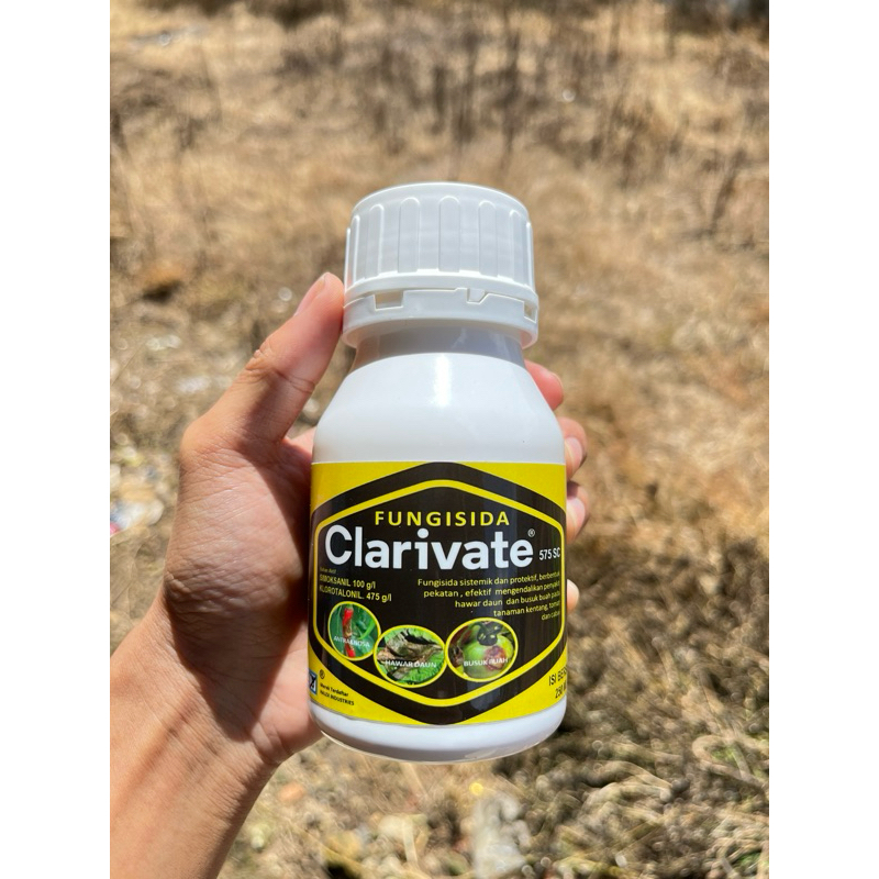 FUNGISIDA CAIR CLARIVATE 575 SC 250 ML