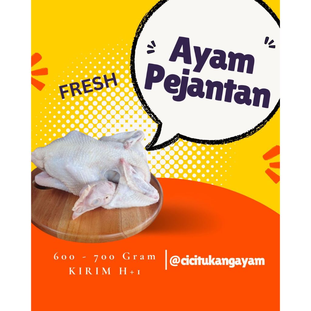 

Ayam Pejantan