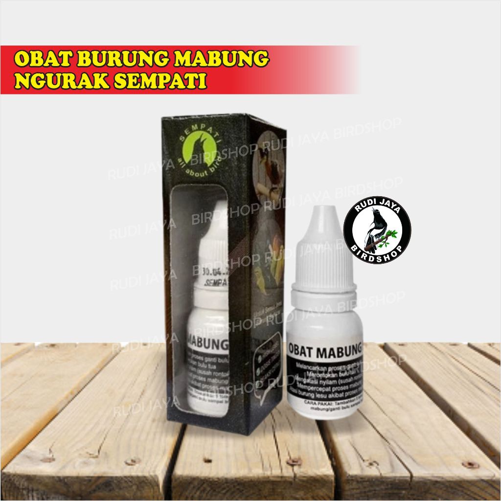 OBAT BURUNG MABUNG NGURAK BERMASALAH SEMPATI MENGATASI BULU TIDAK TUNTAS CEPAT TUMBUH BULU MURAI