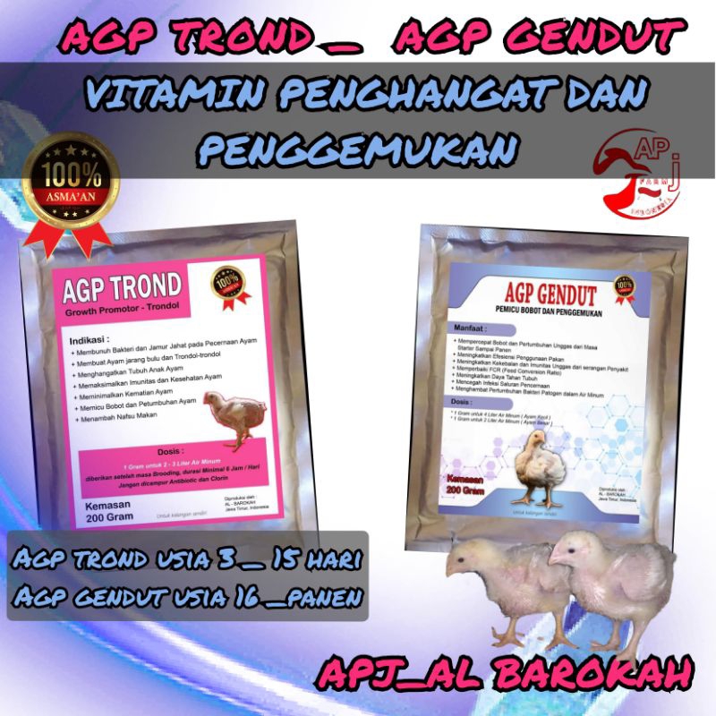 Agp trond,agp gendut ,nutrisi ayam,satu paket penggemukan