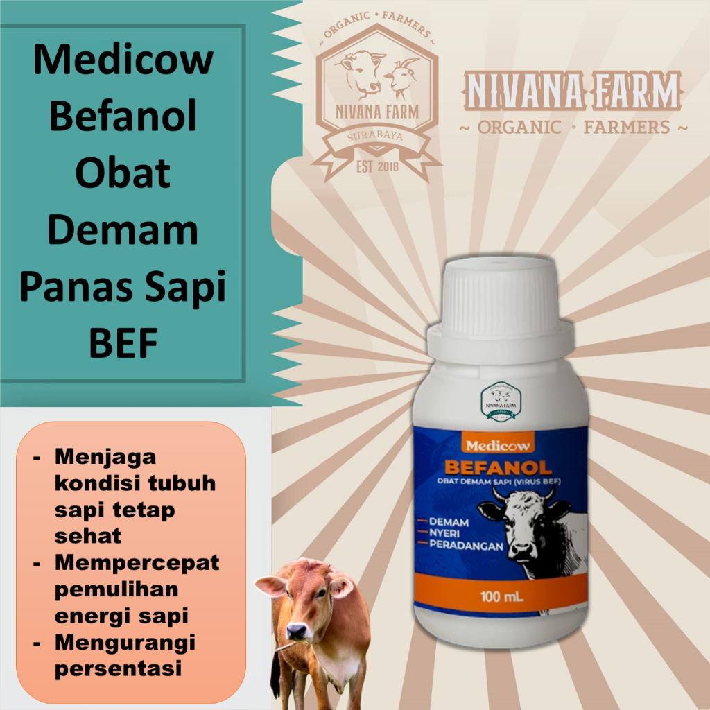 Medicow Befanol Obat Demam Panas Sapi BEF 100 ml