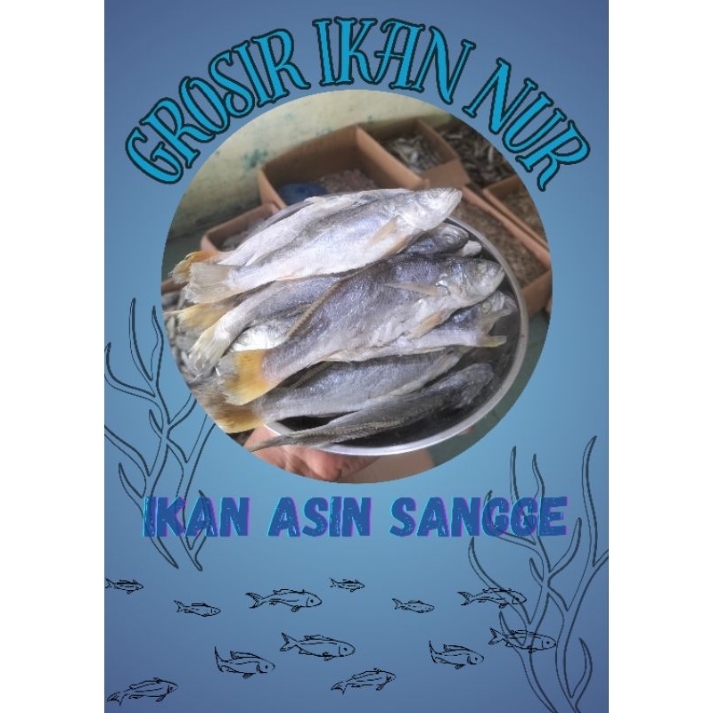 

Ikan Asin Sangge Besar dan Enak