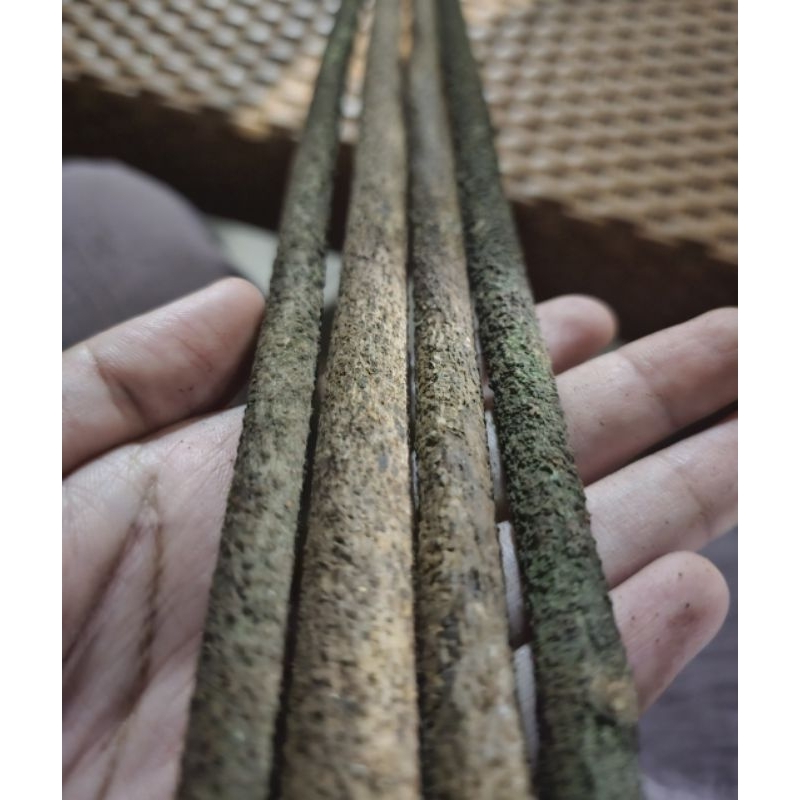 TANGKRINGAN ASEM BALI SUPER KENARI CUCAK IJO DIAMETER 7-10m TANGKRINGAN BURUNG ASEM BALI