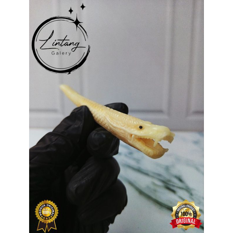 once pipa tulang sapi import padudan cangklong full ukir naga 3D